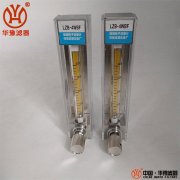LZB-4WF-JB╱T9255玻璃轉(zhuǎn)子流量計新華供應